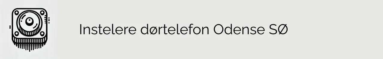 Instelere dørtelefon Odense SØ